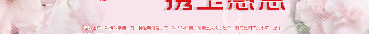 母親節(jié)